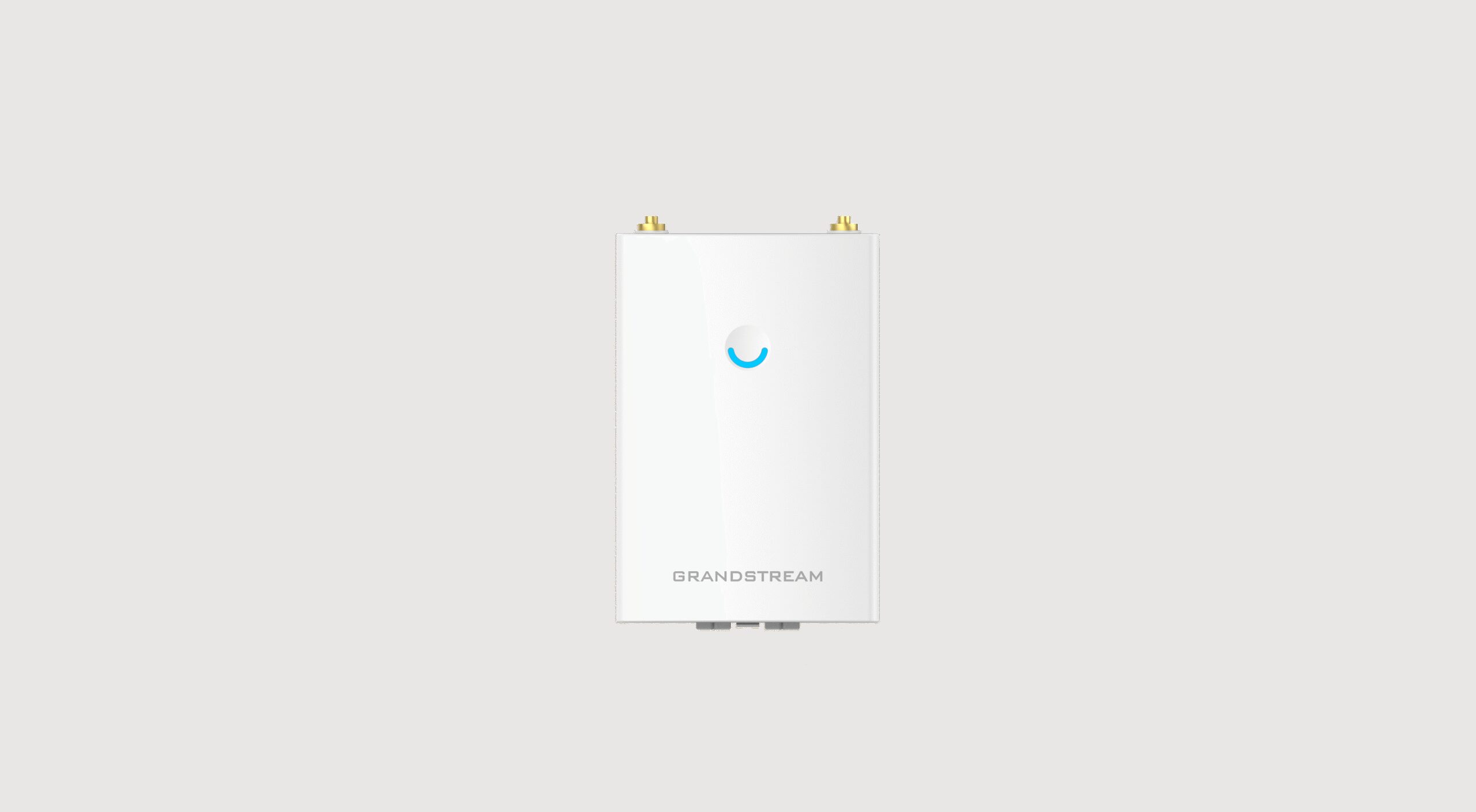 Grandstream | Outdoor Wi-Fi – product image