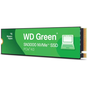 Western Digital |  | WDS100T4G0E - product image