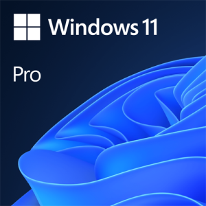 FQC-10528 | Microsoft windows 11 license DVD Single User License - product image