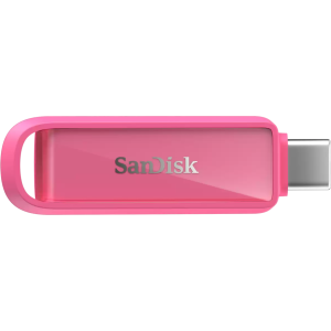 Sandisk | | SDIXS0N-256G-GN6NG - product image