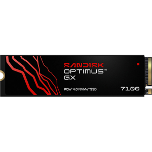 Sandisk | | SDSP71100TAN-000E0 - product image