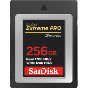 Sandisk | | SDCFE-256G-GN4NN - product image